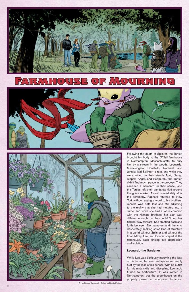 TMNT SOURCEBOOK #4