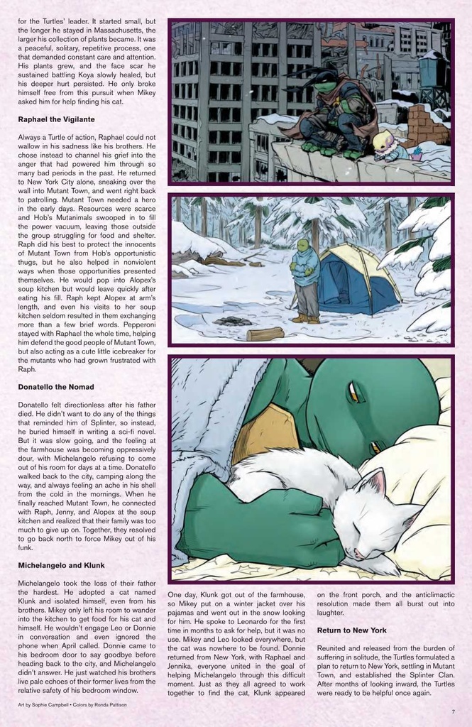 TMNT SOURCEBOOK #4