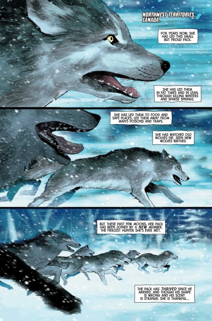 WOLVERINE #1 JTC NEG SPACE VAR