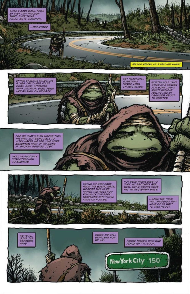 TEENAGE MUTANT NINJA TURTLES 2024 #4 CVR E BURNHAM