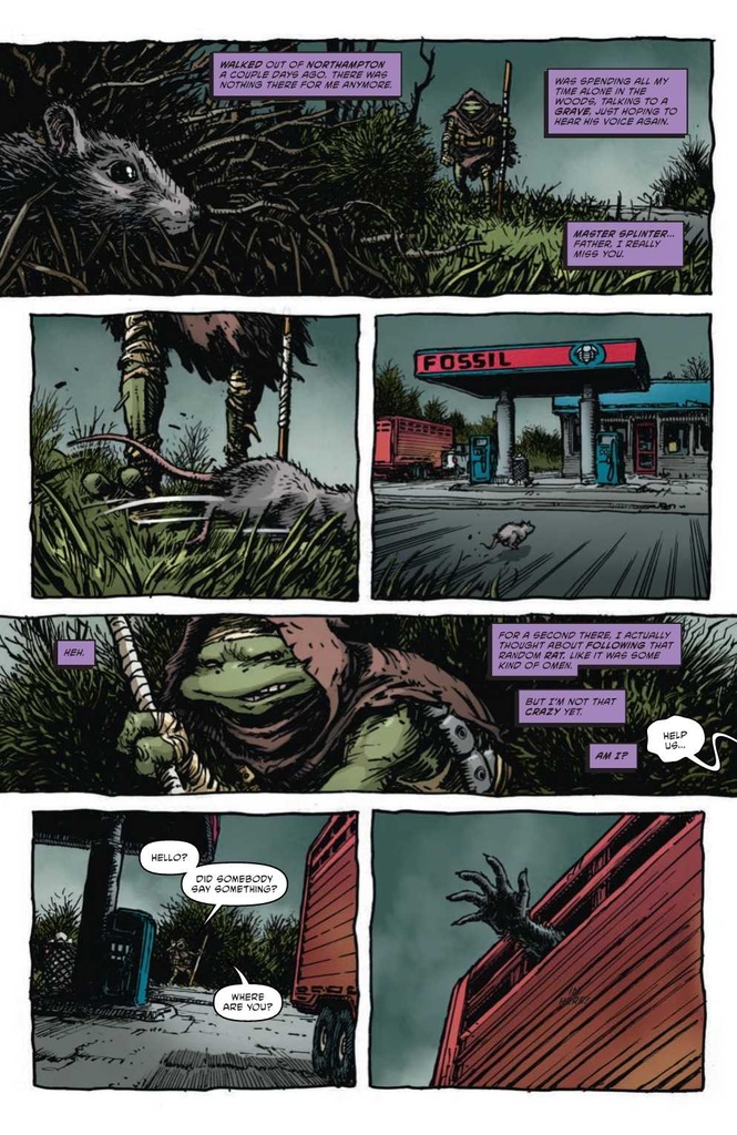 TEENAGE MUTANT NINJA TURTLES 2024 #4 CVR E BURNHAM