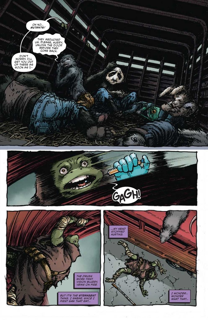TEENAGE MUTANT NINJA TURTLES 2024 #4 CVR E BURNHAM
