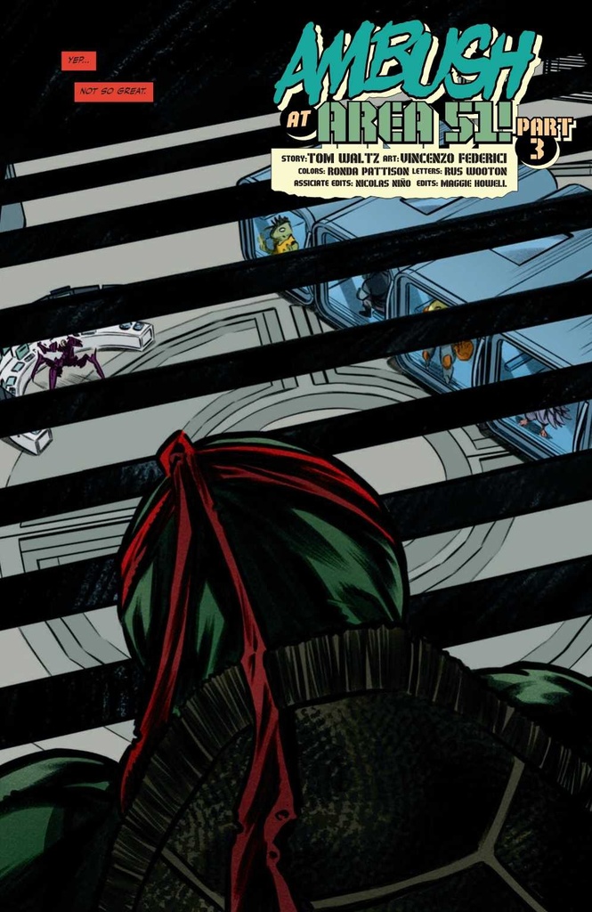 TMNT SATURDAY MORNING ADV #20 CVR A MYER