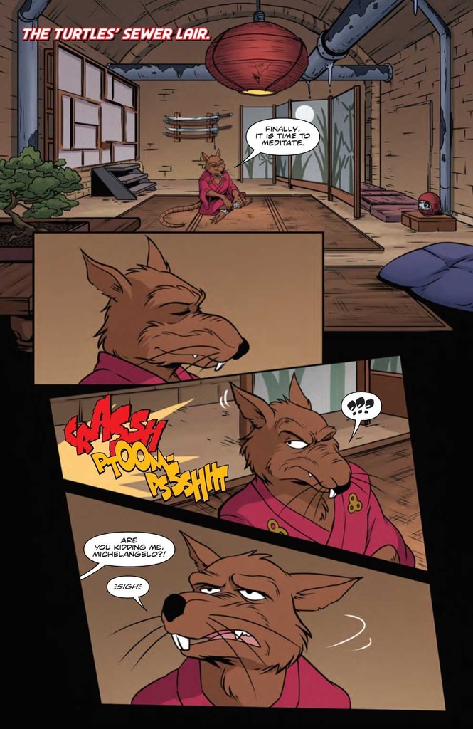 TMNT SATURDAY MORNING ADV #20 CVR B MEDEL