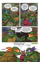 TMNT SATURDAY MORNING ADV #20 CVR B MEDEL
