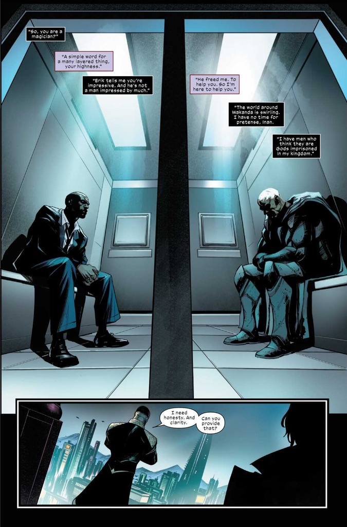 ULTIMATE BLACK PANTHER #13