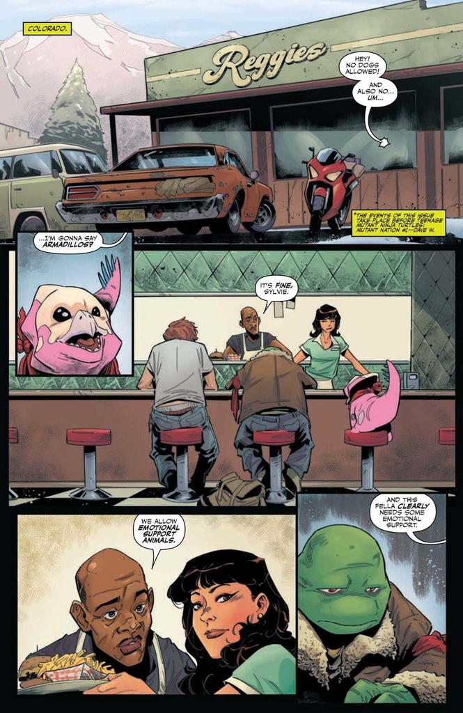 TMNT MUTANT NATION #5 CVR B HOWARD