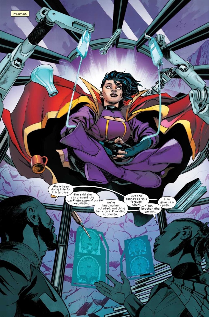 ULTIMATE BLACK PANTHER #14