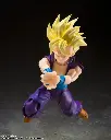 S.H.Figuarts: Dragon Ball Z - The Warrior Who  Surpassed Goku 11cm Action Figure (4)