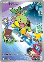 Pokémon: First Partner Illustration Collection (Turtwig)