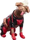 Marvel Legends - Deadpool & Wolverine: Dogpool & Deadpool Action Figure 15cm (10)