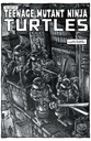 Batman/Teenage Mutant Ninja Turtles III #2 of 6
