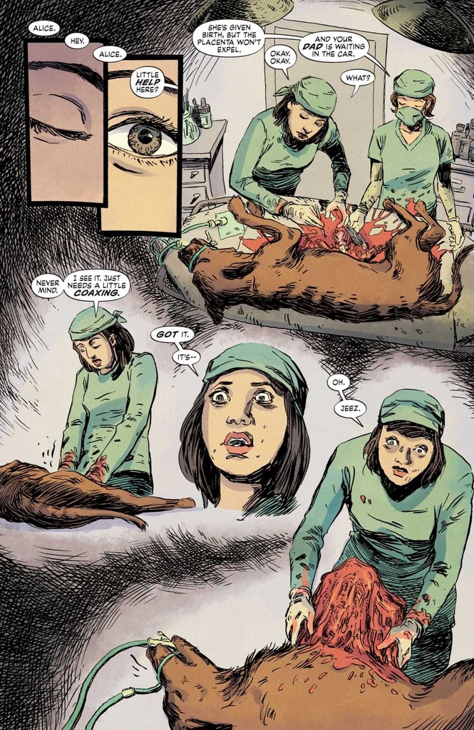 Dollhouse Family #3 of 6 (Variant Edition)