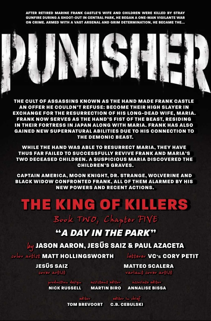 PUNISHER #11