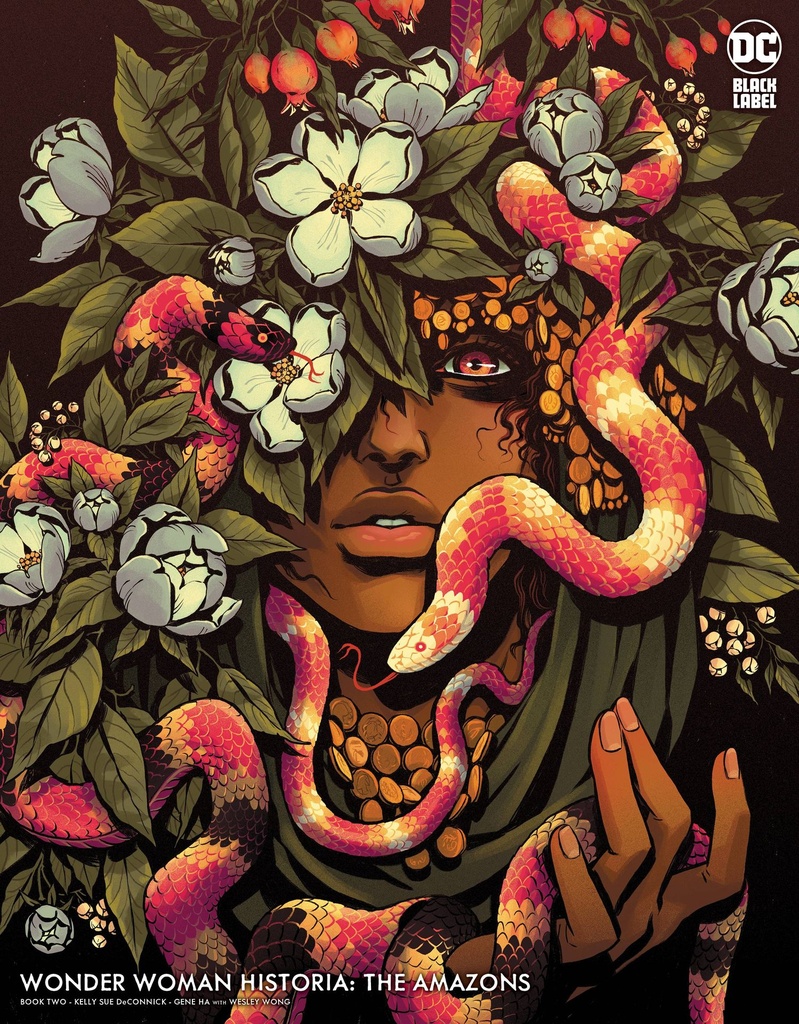 Wonder Woman Historia: The Amazons #2 of 3 (Cover B Becky Cloonan)