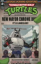 Teenage Mutant Ninja Turtles: Saturday Morning Adventures Continued #6 (Cover B Dan Schoening)