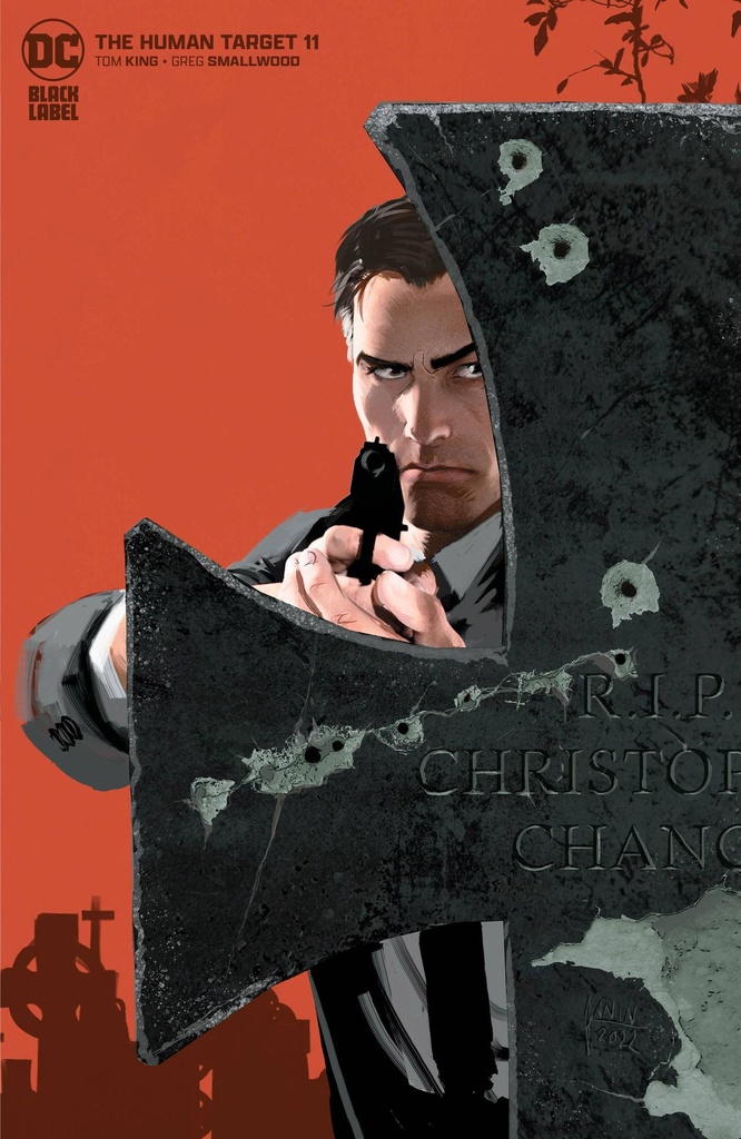 The Human Target #11 of 12 (Cover B Mikel Janin)