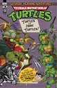 Teenage Mutant Ninja Turtles: Saturday Morning Adventures Continued #13 (Cover A Sarah Myer)