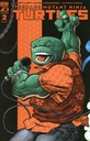 Teenage Mutant Ninja Turtles #2 (Cover D J Gonzo)