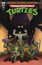 Teenage Mutant Ninja Turtles: Saturday Morning Adventures Continued #17 (Cover B Mauro Fonseca)