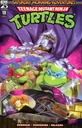 TMNT: Saturday Morning Adventures Continued #19 (Cover B Miles Arq)