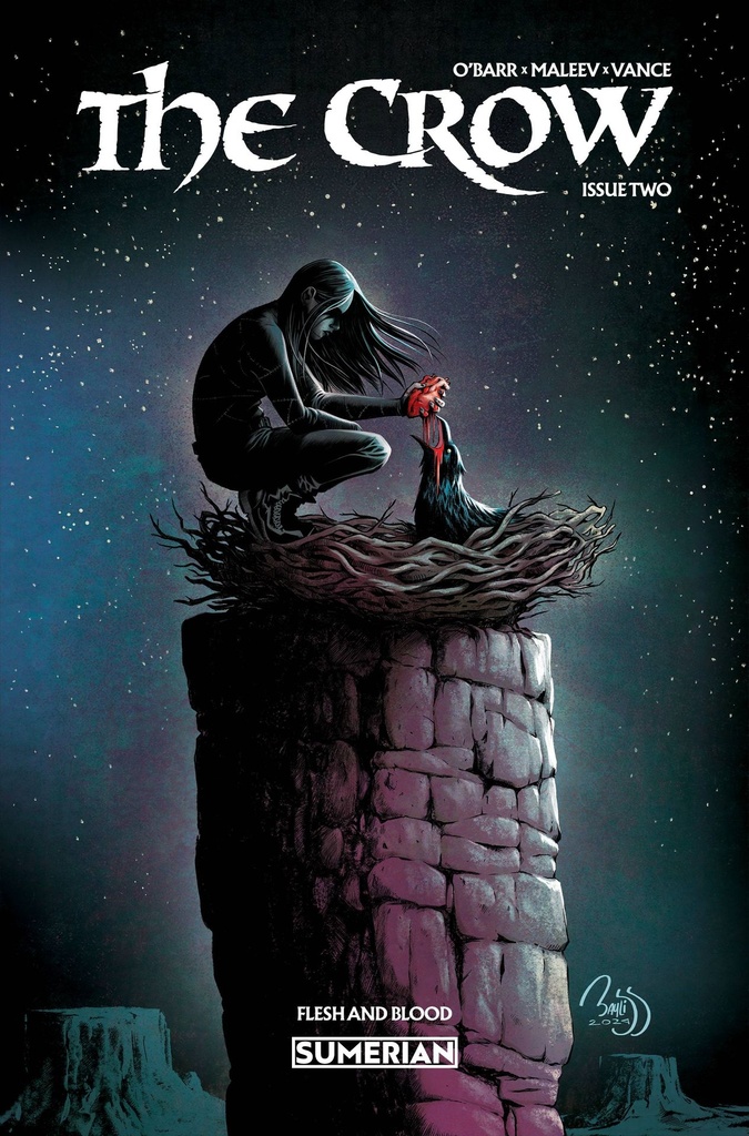 The Crow: Flesh and Blood #2 of 3 (Cover B Daniel Bayliss)