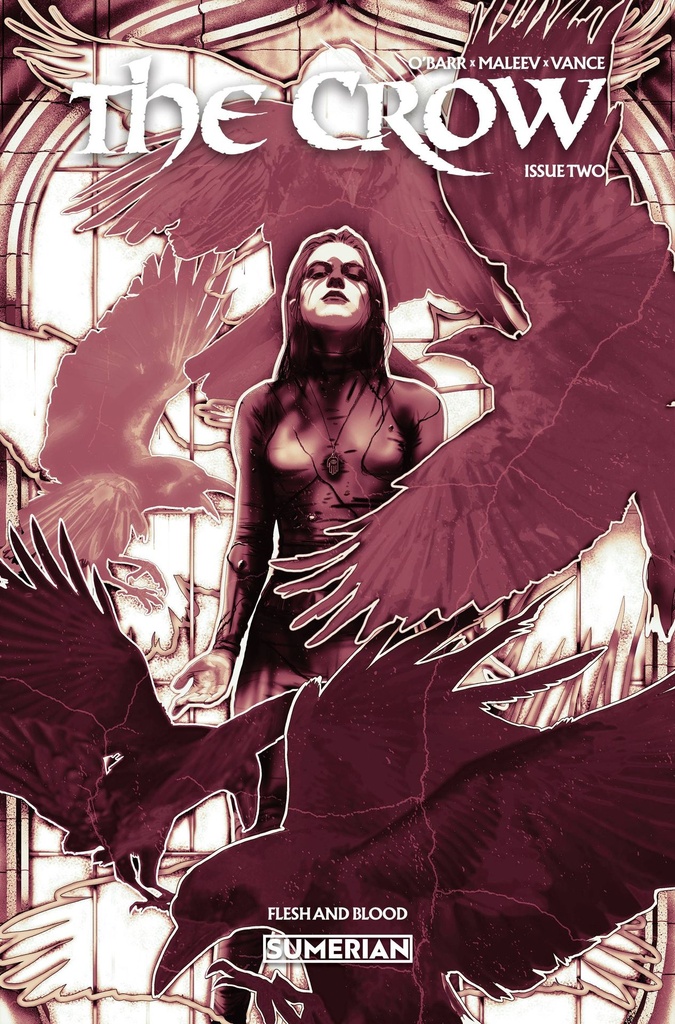 The Crow: Flesh and Blood #2 of 3 (Cover A Lucas Peverill)
