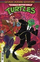 TMNT: Saturday Morning Adventures Continued #23 (Cover B Felipe Cunha)