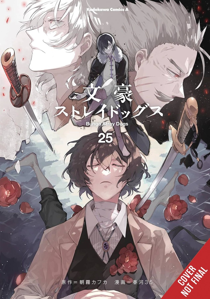 Bungo Stray Dogs, Vol. 25