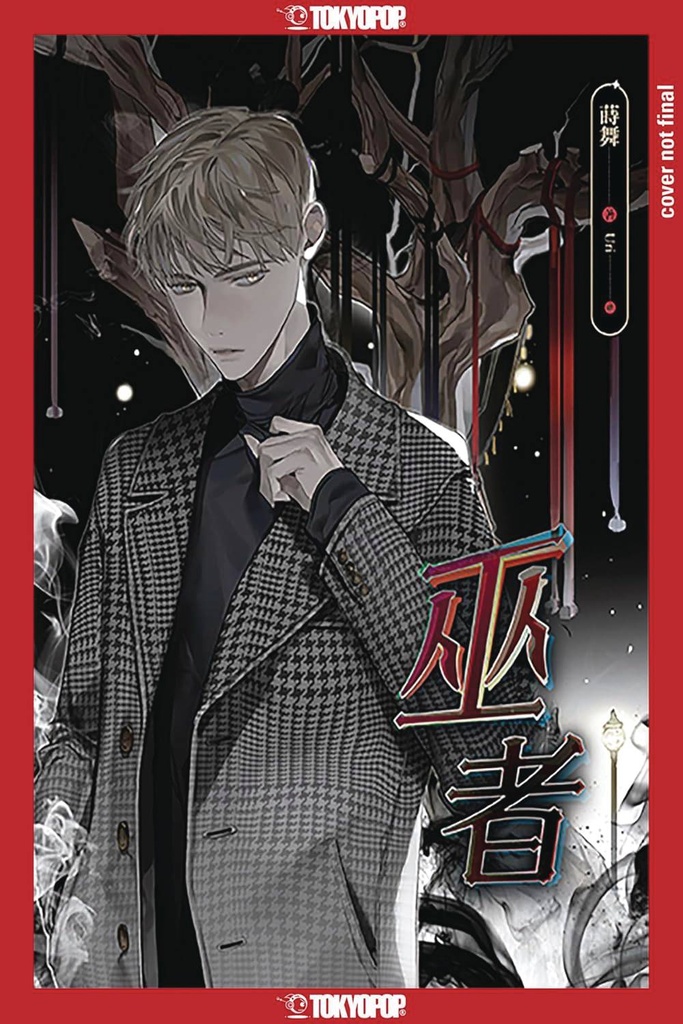 The Wizard (Light Novel)