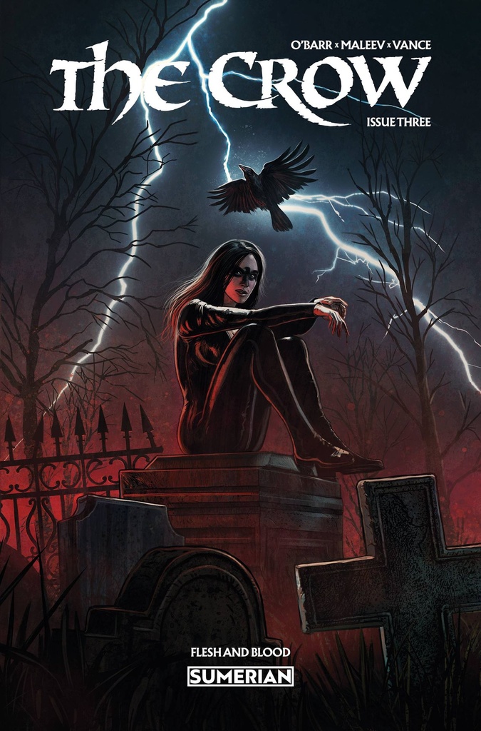The Crow: Flesh and Blood #3 of 3 (Cover A Eduardo Schaal)