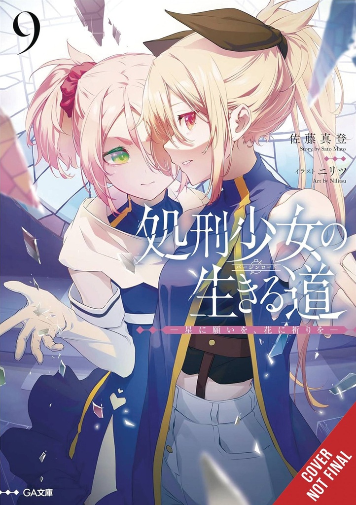 The Executioner and Her Way of Life, Vol. 9 (Light Novel)