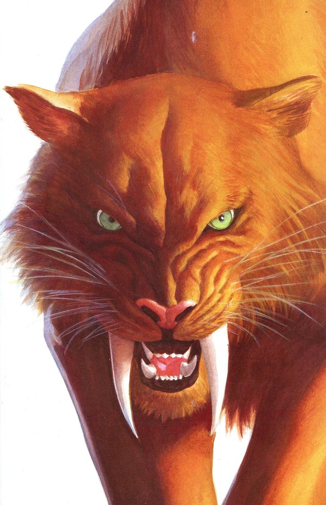 Black Cat #2 (Alex Ross Timeless Virgin Variant)