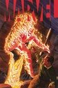 Marvel #1 of 6