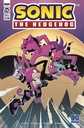 Sonic the Hedgehog #28 (Cover A Bulmer)