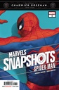 Spider-Man: Marvels Snapshot #1