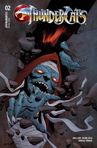 [JAN240108] Thundercats #2 (Cover D Jae Lee & June Chung)