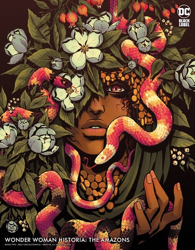 Wonder Woman Historia: The Amazons #2 of 3 (Cover B Becky Cloonan)