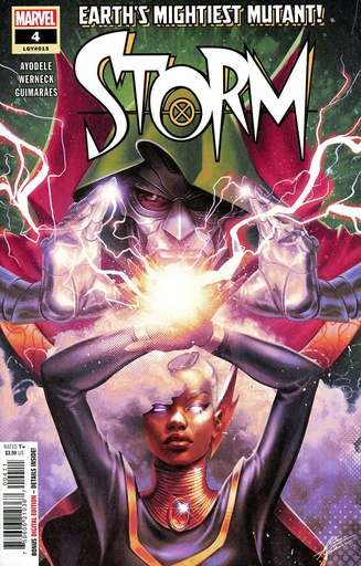[NOV240637] Storm #4
