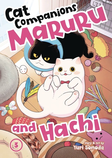 [JAN252181] Cat Companions Maruru and Hachi, Vol. 3