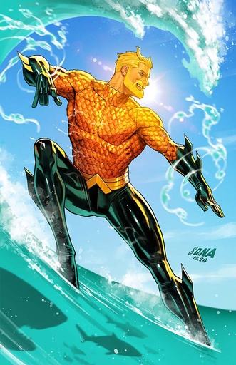 [FEB253122] Aquaman #4 (Cover B David Nakayama Card Stock Variant)