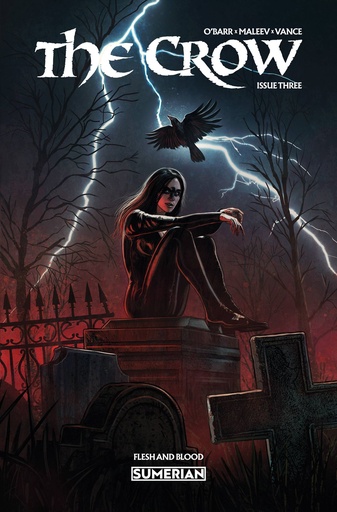 [FEB251999] The Crow: Flesh and Blood #3 of 3 (Cover A Eduardo Schaal)