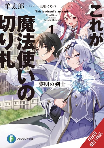 [MAR252011] This Is the Wizard's Secret Weapon, Vol. 1 (Light Novel)