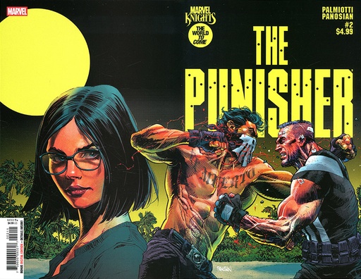 Marvel Knights: Punisher #2